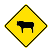 animales en la vía