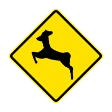 animales en la vía